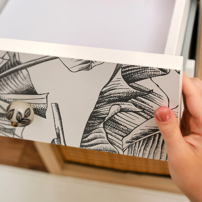 Vinil autocolante para móvel Folhas de bananeira