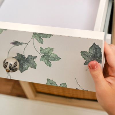 Vinil para móvel Folhas de hera