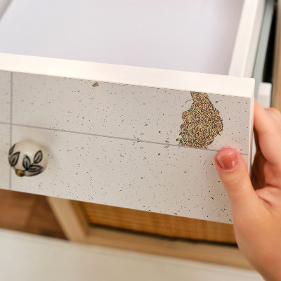 Papel para forrar móvel Pratos brancos