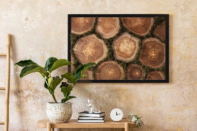 Decoração com musgo Corte transversal do tronco