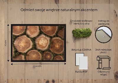 Decoração com musgo Corte transversal do tronco