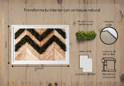Quadro de musgo natural Tábuas de espinha de peixe