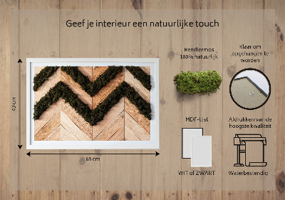 Quadro de musgo natural Tábuas de espinha de peixe