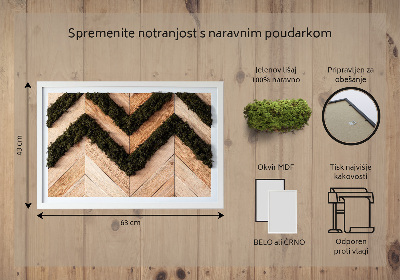 Quadro de musgo natural Tábuas de espinha de peixe