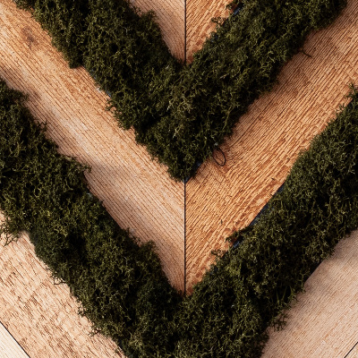 Quadro de musgo natural Tábuas de espinha de peixe