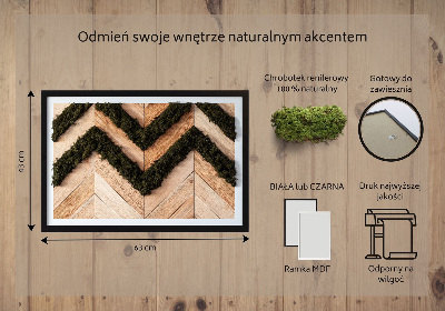 Quadro de musgo natural Tábuas de espinha de peixe