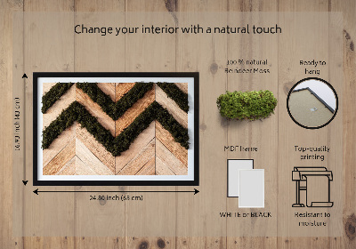 Quadro de musgo natural Tábuas de espinha de peixe