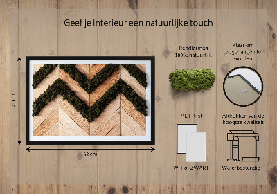 Quadro de musgo natural Tábuas de espinha de peixe