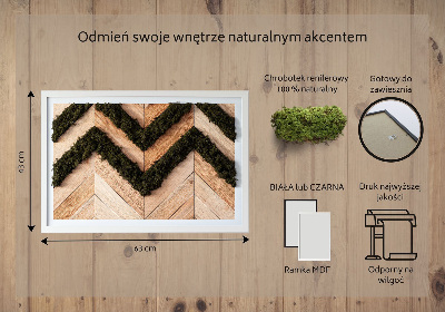 Quadro de musgo natural Tábuas de espinha de peixe