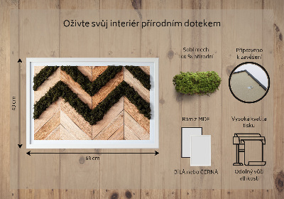 Quadro de musgo natural Tábuas de espinha de peixe