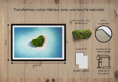 Quadro de musgo Ilha em forma de coração