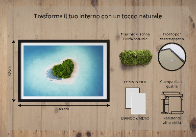 Quadro de musgo Ilha em forma de coração