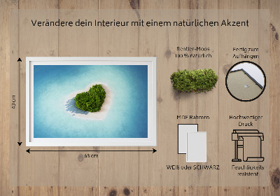 Quadro de musgo Ilha em forma de coração