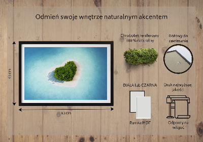 Quadro de musgo Ilha em forma de coração