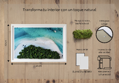 Quadro de musgo natural Praia Azure