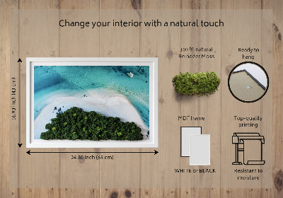 Quadro de musgo natural Praia Azure