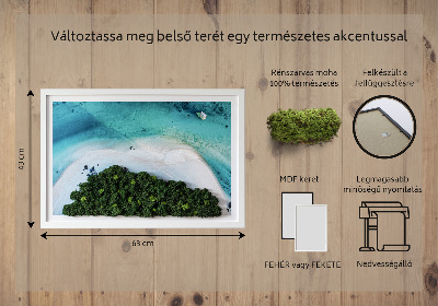 Quadro de musgo natural Praia Azure