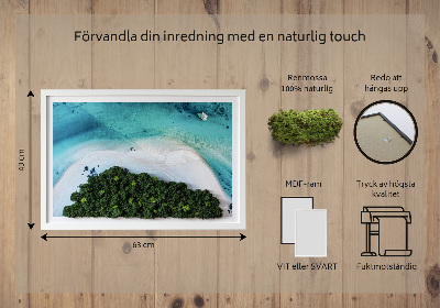 Quadro de musgo natural Praia Azure