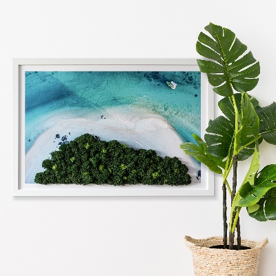 Quadro de musgo natural Praia Azure