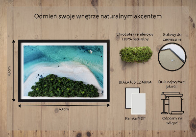 Quadro de musgo natural Praia Azure