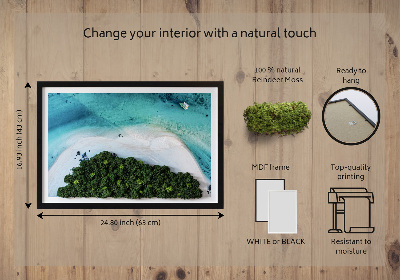Quadro de musgo natural Praia Azure