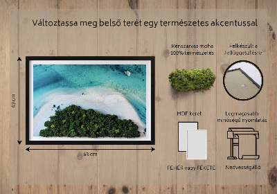 Quadro de musgo natural Praia Azure