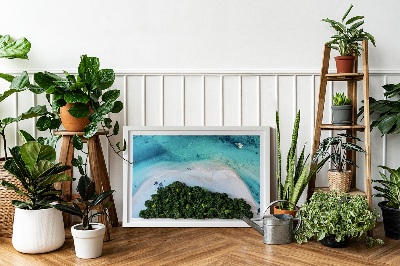 Quadro de musgo natural Praia Azure