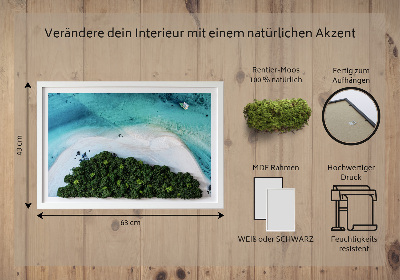 Quadro de musgo natural Praia Azure