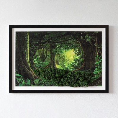 Decoração com musgo Selva tropical
