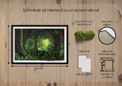 Decoração com musgo Selva tropical