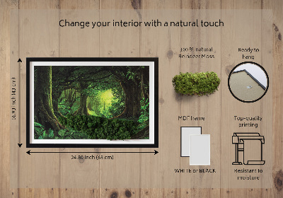 Decoração com musgo Selva tropical