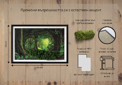 Decoração com musgo Selva tropical