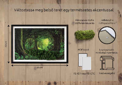 Decoração com musgo Selva tropical