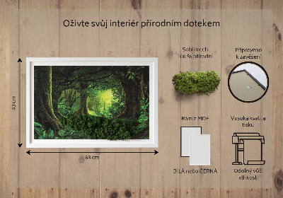 Decoração com musgo Selva tropical