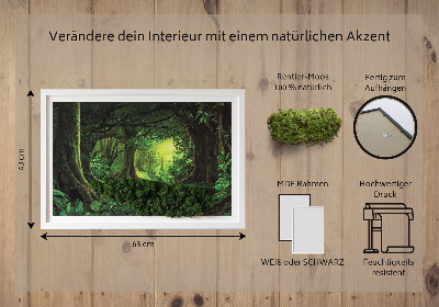 Decoração com musgo Selva tropical