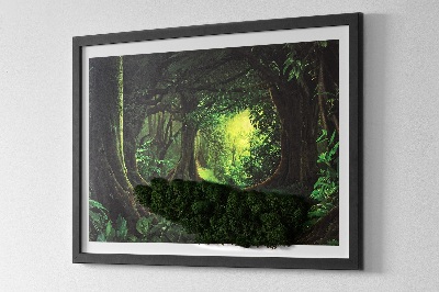 Decoração com musgo Selva tropical