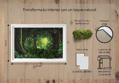 Decoração com musgo Selva tropical