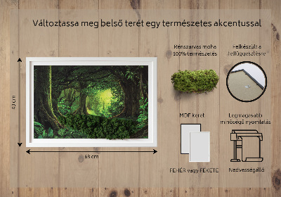 Decoração com musgo Selva tropical