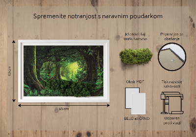 Decoração com musgo Selva tropical