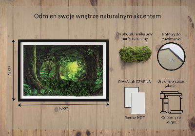 Decoração com musgo Selva tropical