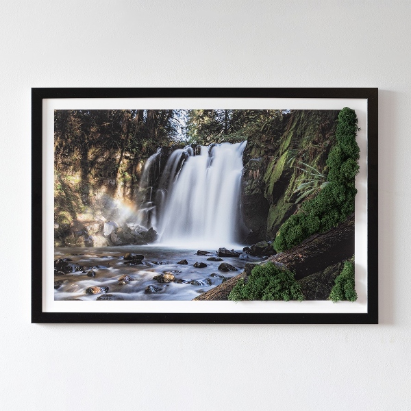 Quadro de musgo Uma cachoeira cercada por árvores