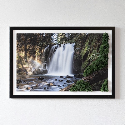 Quadro de musgo Uma cachoeira cercada por árvores
