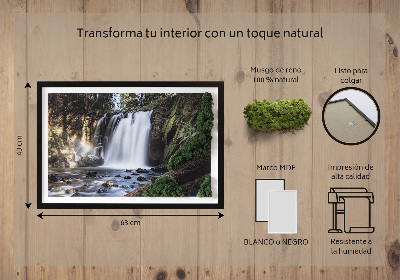 Quadro de musgo Uma cachoeira cercada por árvores
