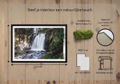 Quadro de musgo Uma cachoeira cercada por árvores