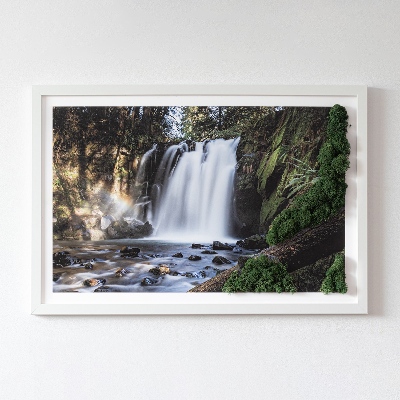 Quadro de musgo Uma cachoeira cercada por árvores