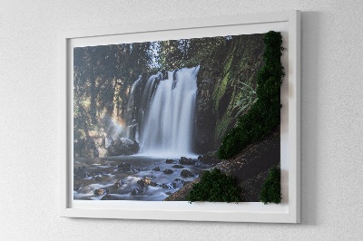 Quadro de musgo Uma cachoeira cercada por árvores
