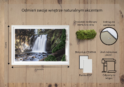 Quadro de musgo Uma cachoeira cercada por árvores