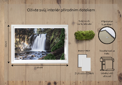 Quadro de musgo Uma cachoeira cercada por árvores