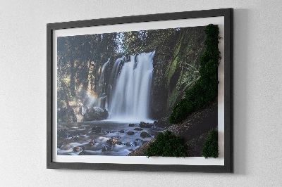 Quadro de musgo Uma cachoeira cercada por árvores