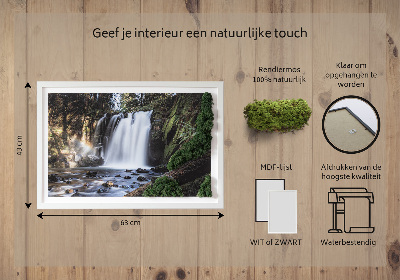 Quadro de musgo Uma cachoeira cercada por árvores